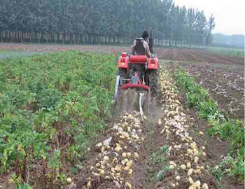 Κίνα Δύο σειρών μικρός εξοπλισμός καλλιέργειας γεωργικών μηχανημάτων μικρής κλίμακας προμηθευτής